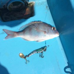 ゆったりオフショア②