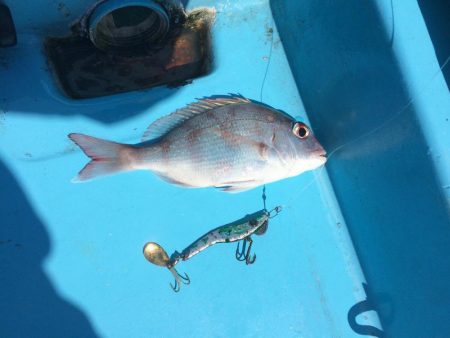 ゆったりオフショア②