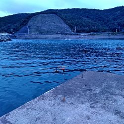まさか、カンパチが釣れるとは!!