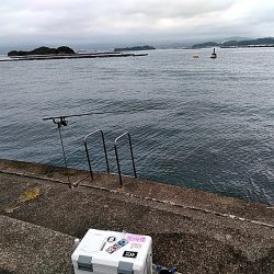 アオリイカ釣れました!!