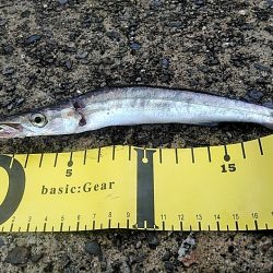 雨が降ってますが、何とか・・・・