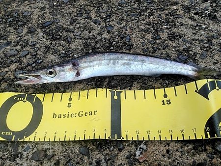 雨が降ってますが、何とか・・・・