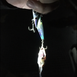 タチウオ釣り最高!!