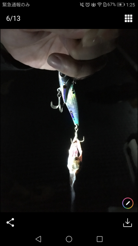 タチウオ釣り最高!!