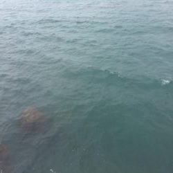 ショアジギングからのエギング