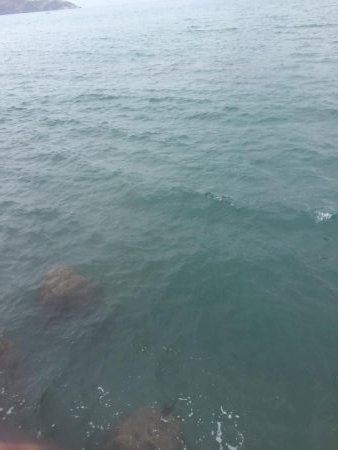 ショアジギングからのエギング