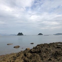 帰省釣行（津奈木町）