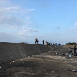 タッチー狙いが