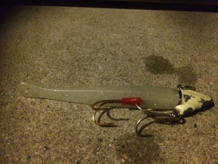 台風前 タチウオ