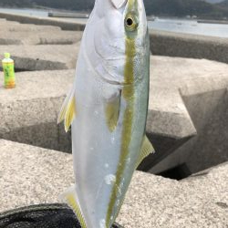 遂にやりました！