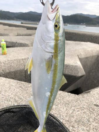 遂にやりました！