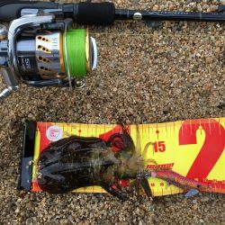 雨上がりのエギング