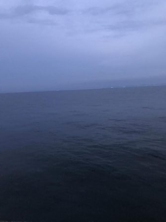 サビキ用で爆釣