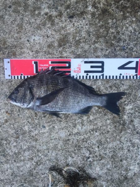 今週も好調！雨上がり６尾ゲット！！