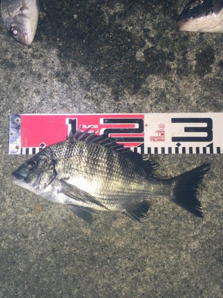 今週の釣果報告！９月２２日（土）