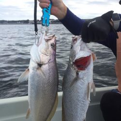 ２日目の大津港