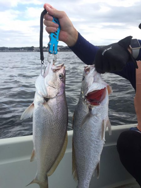 ２日目の大津港