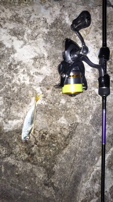 久々のライトゲーム　18:30~20:10