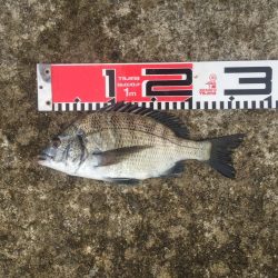 今週の釣果報告！９月２８日（金）