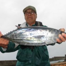 カツオ・キハダ釣り