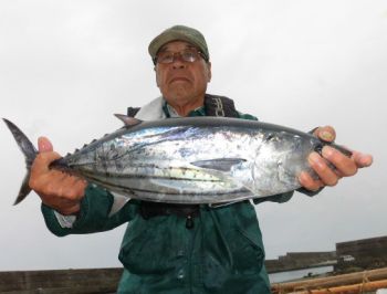 カツオ・キハダ釣り