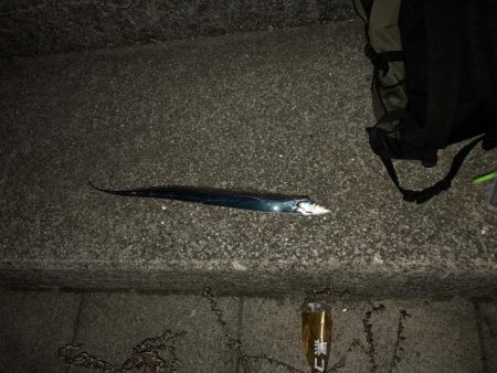 どじょう強し！