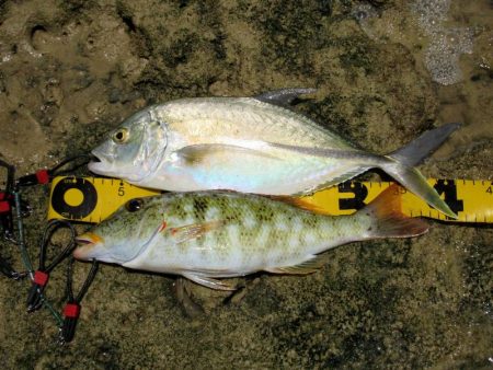 ウェーダーで…