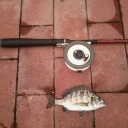 雨の降る前に　～豊洲ぐるり公園～