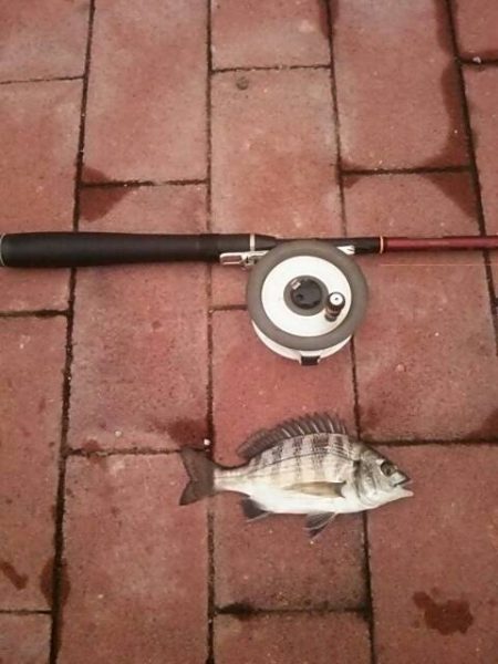 雨の降る前に　～豊洲ぐるり公園～