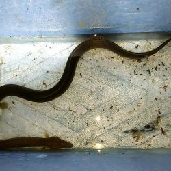 台風が来る前にぶっこみ釣り