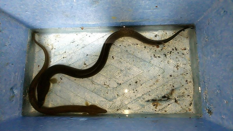 台風が来る前にぶっこみ釣り
