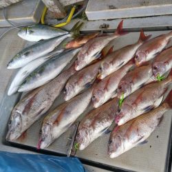 虎ノ介さんでタイラバ