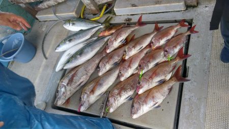 虎ノ介さんでタイラバ