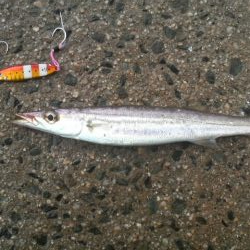 台風の次は 大雨・・・その翌日は?