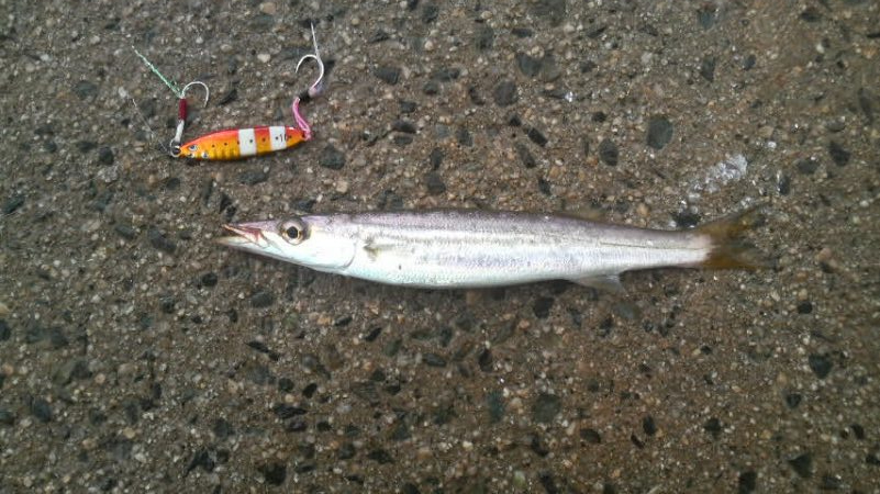 台風の次は　大雨・・・その翌日は？