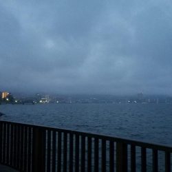 やっとサイズアップ