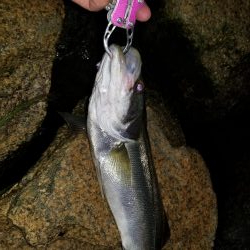 初秋の雨上がりに