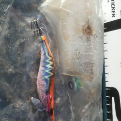 腕おちた・・・