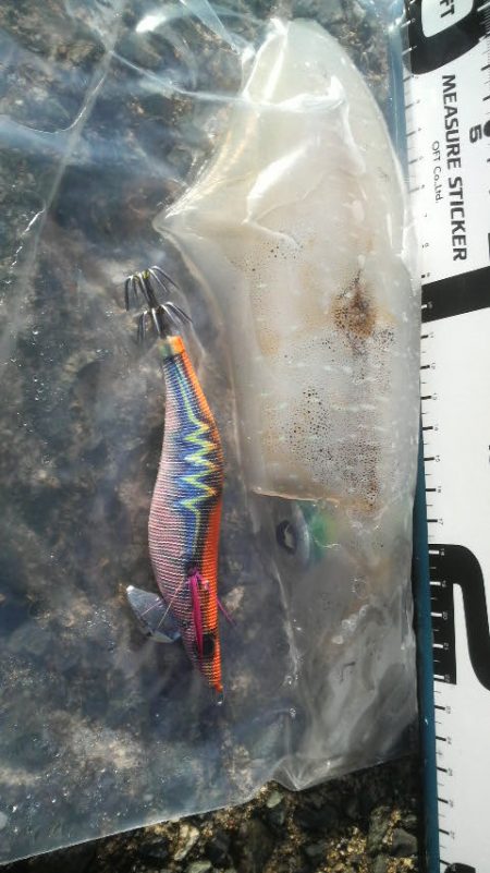 腕おちた・・・