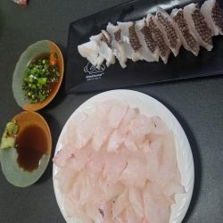 落とし込みで波止のモンスター