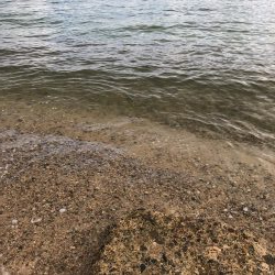 サーフチャレンジ！