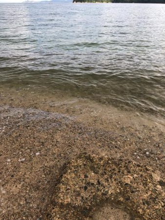 サーフチャレンジ！