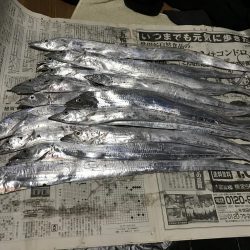 やっと今年初のタチウオがつれました。