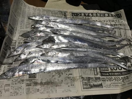 やっと今年初のタチウオがつれました。