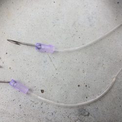 久々ファミリーフィッシング