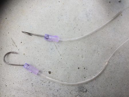 久々ファミリーフィッシング