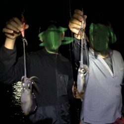 ナイトエギング