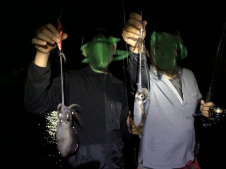 ナイトエギング