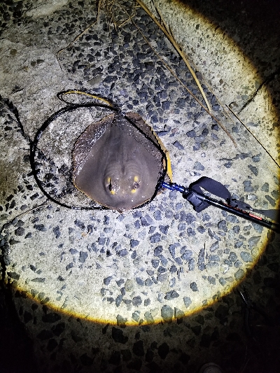 厚東川河口にて