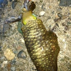 幸先のいいスタート